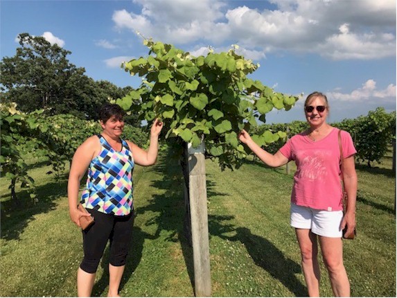 Laura and Hope visited the vineyard.